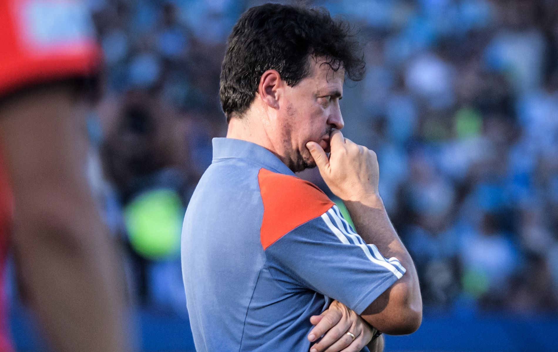 Fernando Diniz tem 30% de aproveitamento como técnico do Cruzeiro