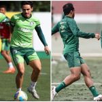 Com chances de título e rebaixamento, Palmeiras e Fluminense duelam no Allianz