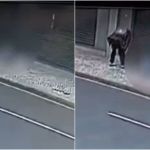 Vídeo: idoso é preso por colocar fogo em homem em situação de rua no Paraná