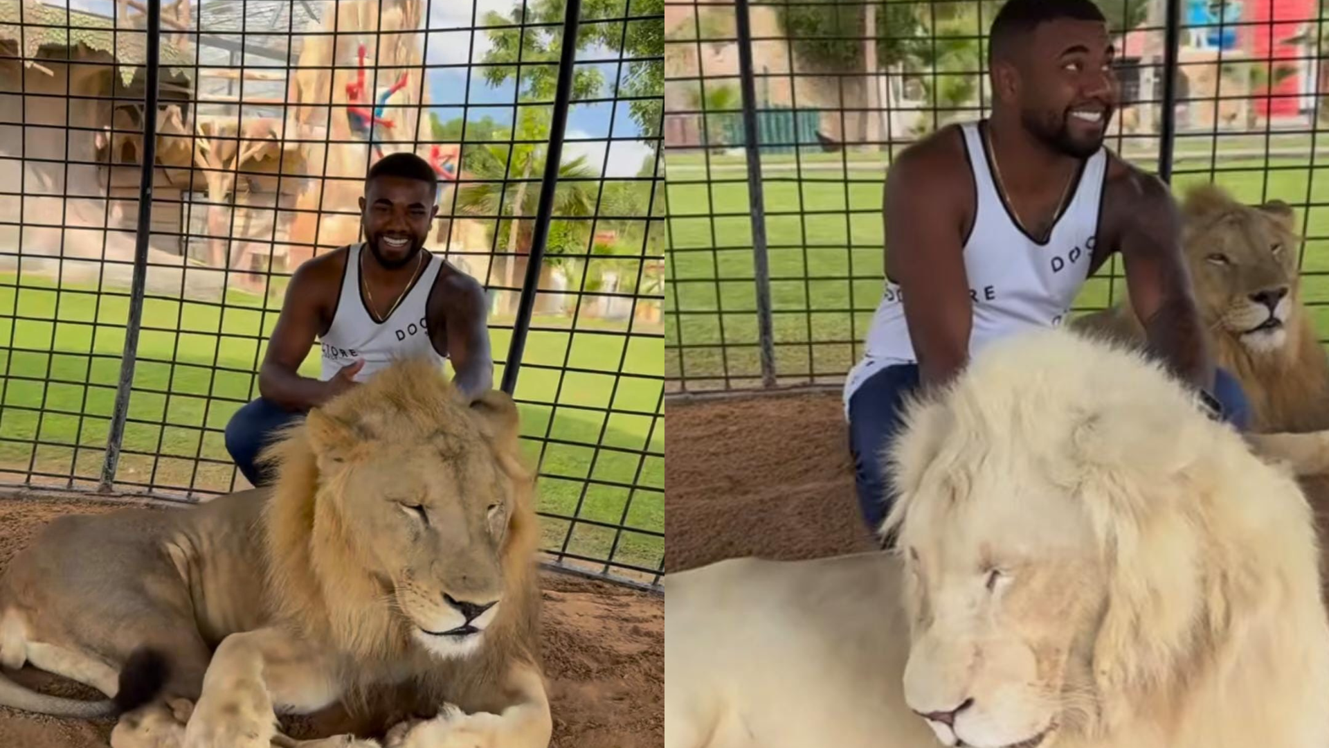 Davi Brito, campeão do BBB 24, posa acariciando um leão durante viagem a Dubai