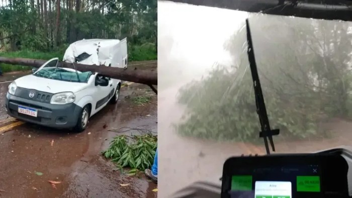 Árvore cai sobre Fiorino na BR-356 durante chuva Árvore cai sobre Fiorino na BR-356 durante chuva