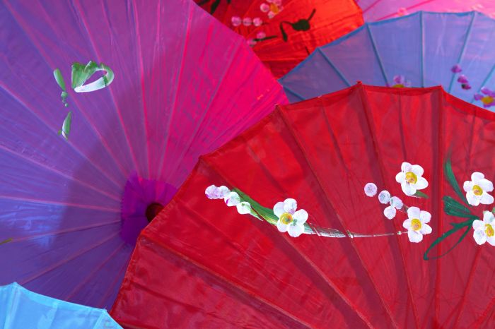 Wagasas são o tema da 11ª Edição do Festival do Japão em Minas