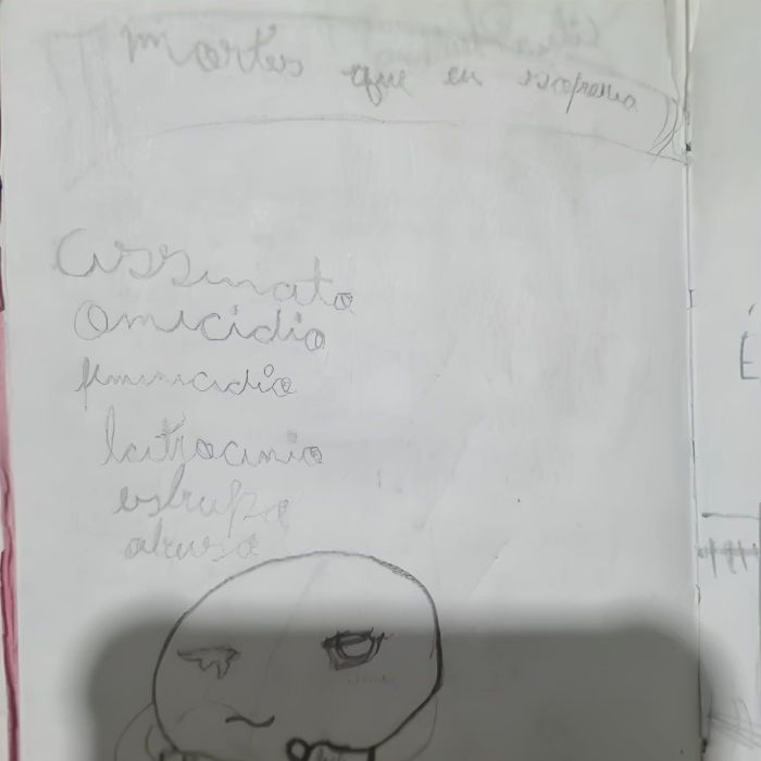 Família da pequena Sophia Ângelo encontrou um diário em que a menina escrevia os tipos de Família da pequena Sophia Ângelo encontrou um diário em que a menina escrevia os tipos de