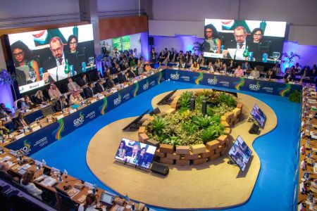 Diplomatas veem Argentina “discrepante” no G20 e tentam manobrar declaração por consenso | CNN Brasil