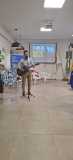 Culto também foi realizado durante a solenidade.