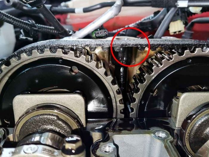 Correia banhada a óleo motor Ford