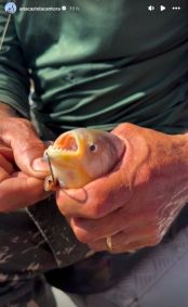Zé Felipe e Ana Castela viajam para o Pantanal