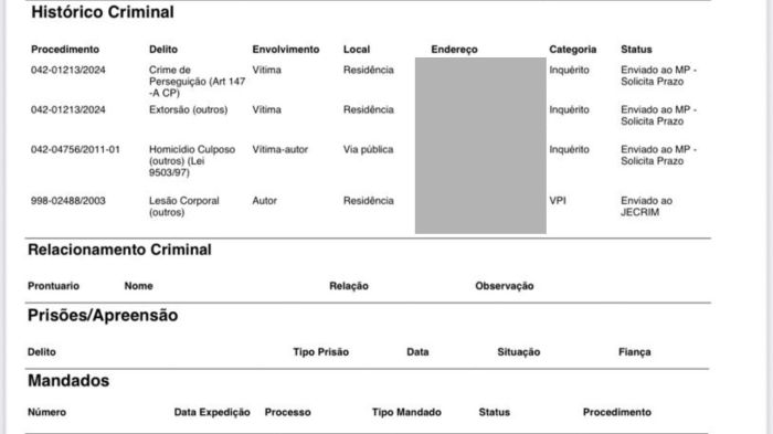 Histórico criminal de Renê da Silva Nogueira Júnior