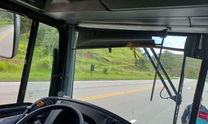 Homem arremessa galho contra ônibus de viagem na Zona da Mata 