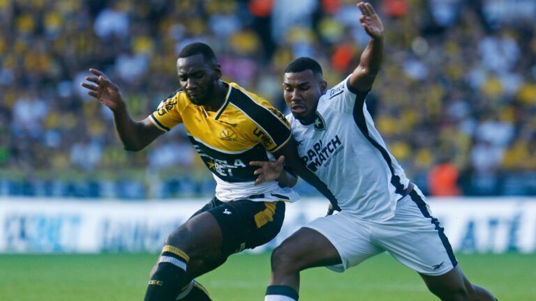 Botafogo x Criciúma: horário e onde assistir ao vivo pelo Brasileiro