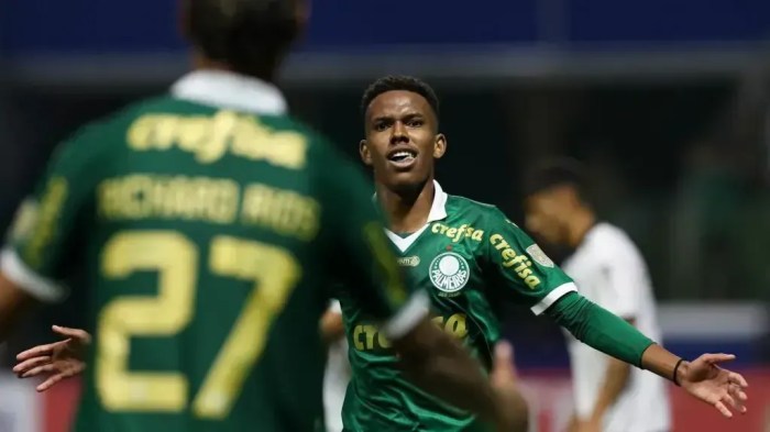Estêvão marcou o primeiro gol pelo Palmeiras no jogo contra o Liverpool, pela Copa Libertadores 2024