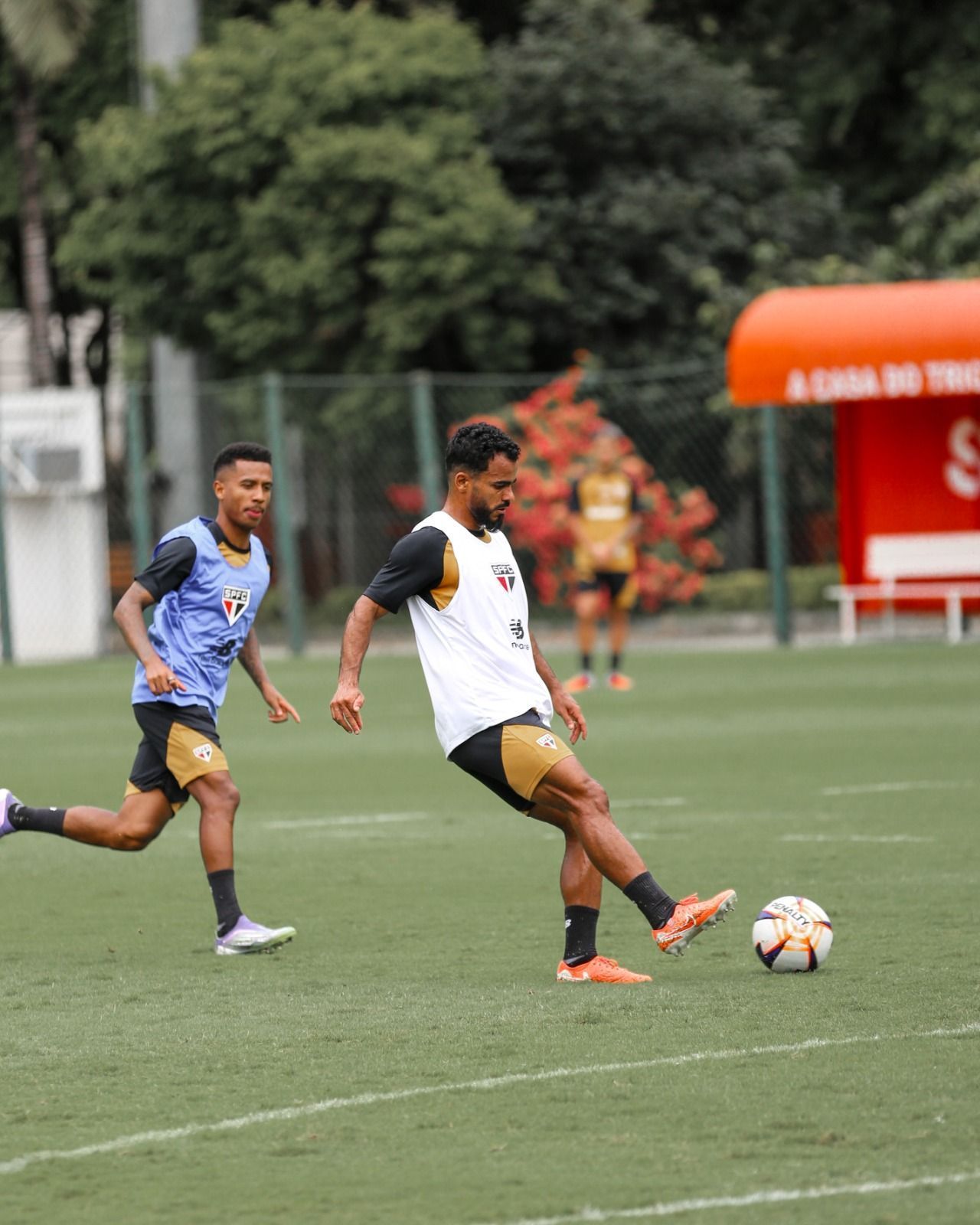São Paulo terá três retornos contra o Palmeiras e segue preparação para semi