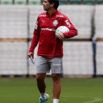 Escalação do Palmeiras: trio lesionado desfalca time contra o Vasco