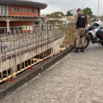 Homem agride ex e se mata à luz do dia em avenida da Pampulha, em BH