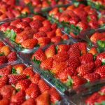 Importação de morango cresce 868% e preocupa produtores de Minas Gerais