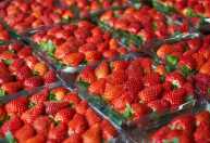 Importação de morango cresce 868% e preocupa produtores de Minas Gerais
