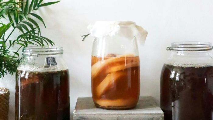 Kombucha e Kefir: o guia para entender os probióticos da moda