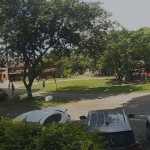Polícia Civil do RS indicia torcedor do Inter que jogou pedra contra torcida do Grêmio