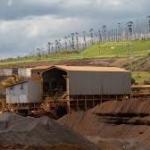 De Minas para o mundo, Grupo Herculano avança no comércio exterior