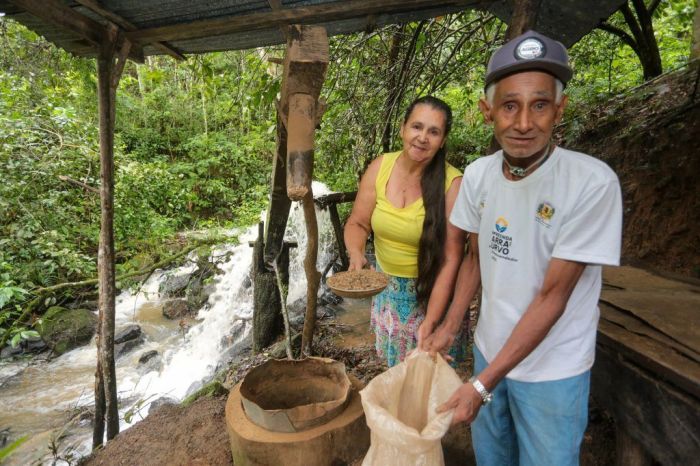 Ozico Pereira e Pedrina Pereira, campeões do Concurso da Qualidade do Café 2025