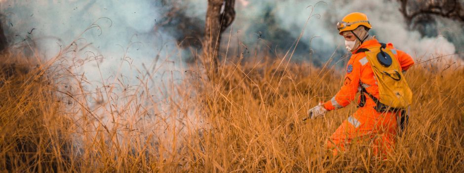Balanço dos bombeiros revela redução de mais de 20% em área queimada nas unidades de conservação