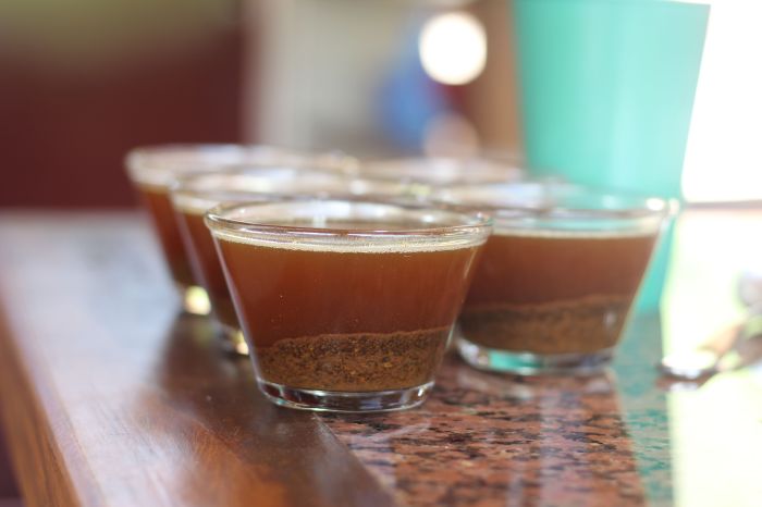 Café da dona Ilma já ganhou concurso com 88 pontos