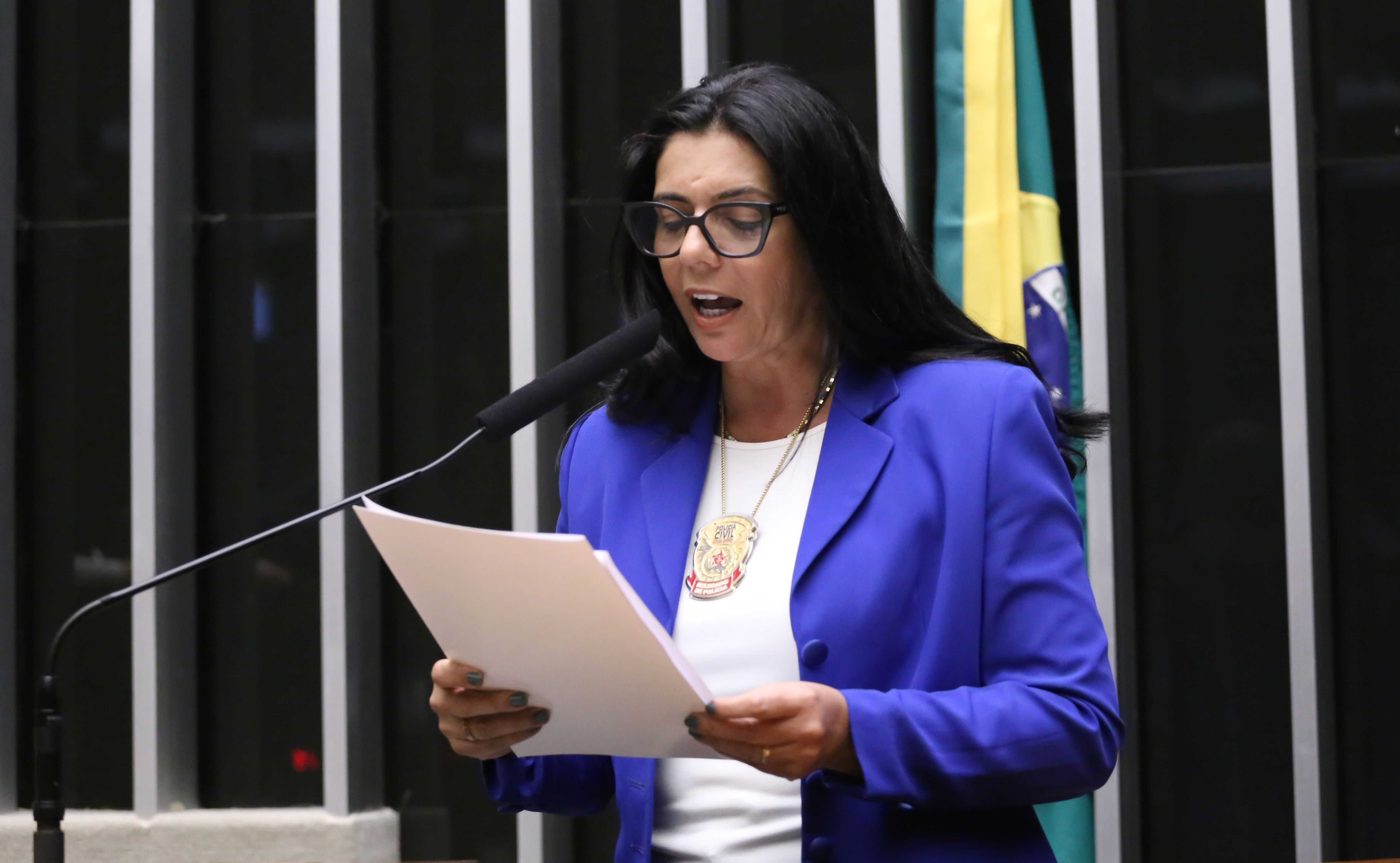Duas deputadas do Avante se filiam ao PL visando a reeleição