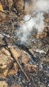 Incêndio na Serra de São José: três aeronaves e mais de 60 pessoas tentam controlar chamas