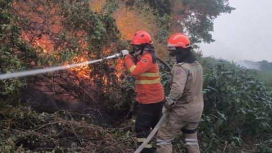 TCU pede ao governo informações sobre combate a incêndios | CNN Brasil