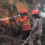 Novas regras para a destinação de recursos para combate aos incêndios começa a tramitar no Congresso