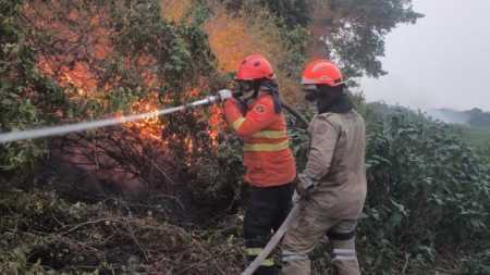 TCU pede ao governo informações sobre combate a incêndios | CNN Brasil