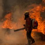 Governo de Minas Gerais intensifica combate a incêndios criminosos
