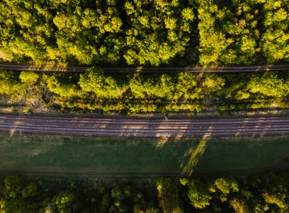 Ministério do Meio Ambiente e Mudança do Clima defende adaptações urbanas com foco em infraestrutura verde diante das mudanças climáticas