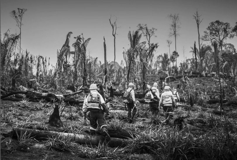 Brigadista morre durante combate a incêndio em São Paulo