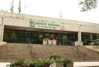 Remédio contra câncer usado no SUS terá produção nacional pelo Butantan