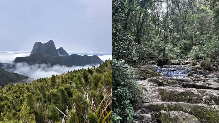 Parque Estadual Pico Paraná (PEPP)