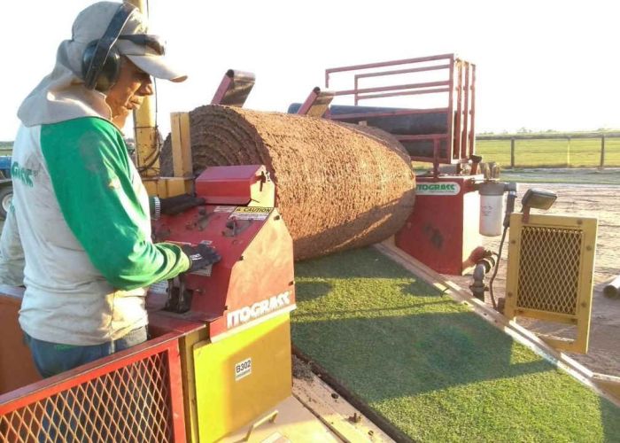Investimento na criação de uma fazenda com gramado 