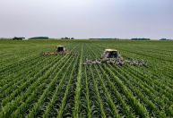 Conflito no Oriente Médio pode pressionar custos do agro brasileiro