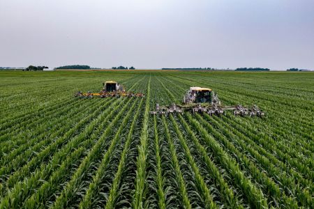 Emprego no agronegócio bate recorde e chega a 28,4 milhões em 2025