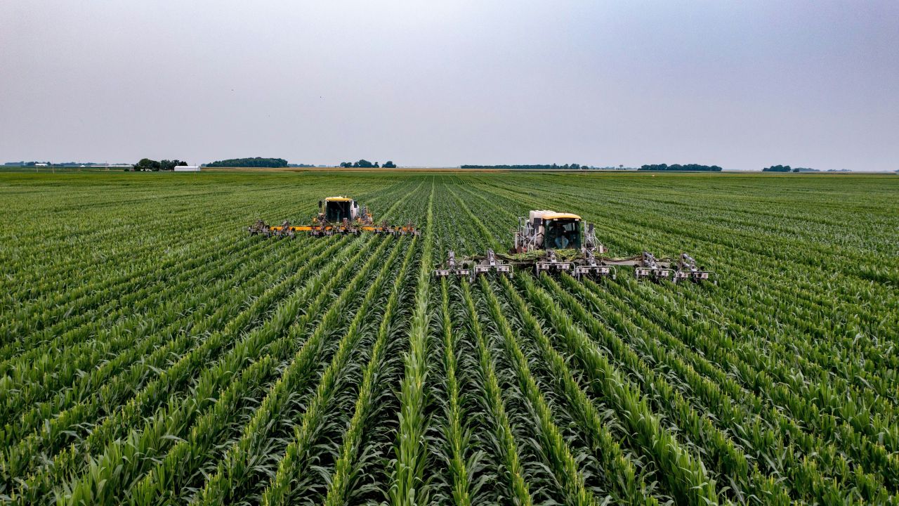 Emprego no agronegócio bate recorde e chega a 28,4 milhões em 2025