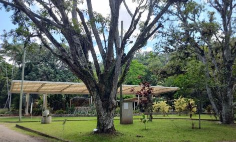 Jardim Botânico de Juiz de Fora