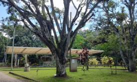 Jardim Botânico de Juiz de Fora