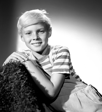 Jay North como Dennis