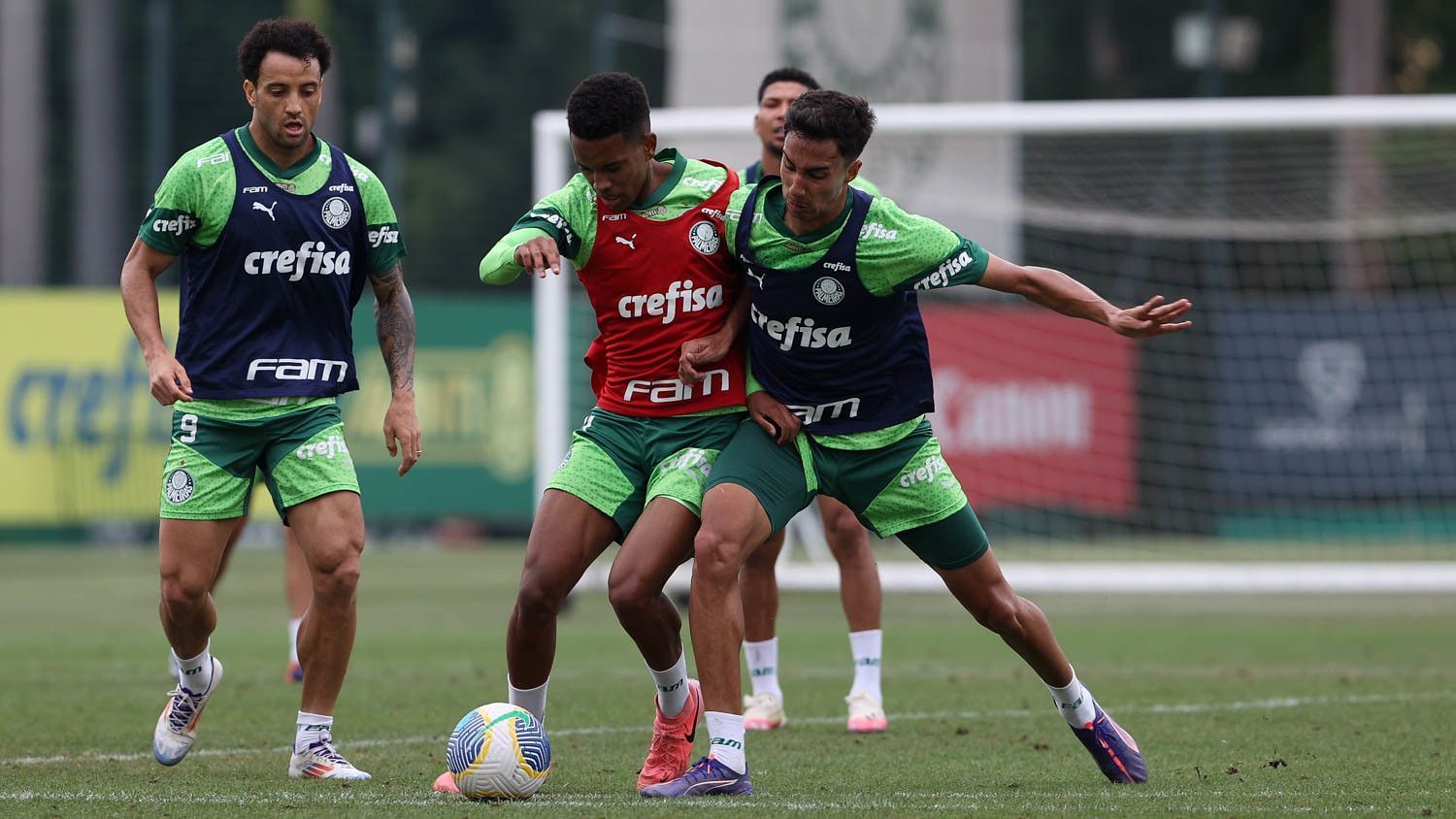 Palmeiras tem planos frustrados após período de folga