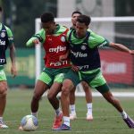 Palmeiras tem planos frustrados após período de folga