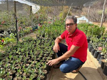 Beneficiado pelo programa de reservatórios da Sigma, Jurandir Alves superou a seca e hoje cultiva plantas ornamentais vendidas para todo o Brasil