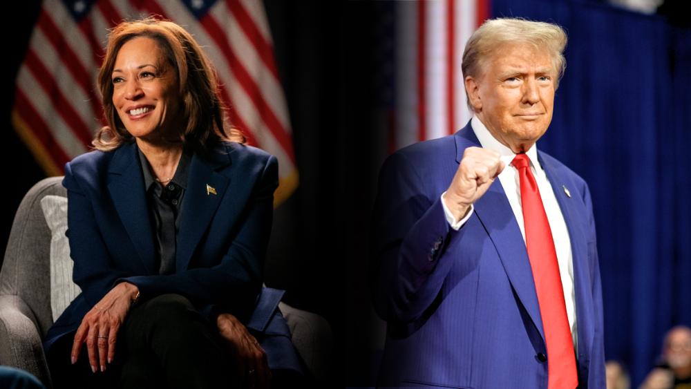 Eleições nos EUA: 7 curiosidades sobre o pleito norte-americano