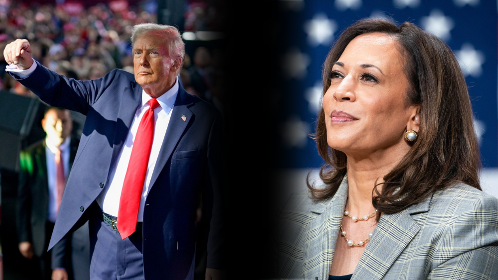 Kamala x Trump: veja quando sai o resultado das eleições dos Estados Unidos