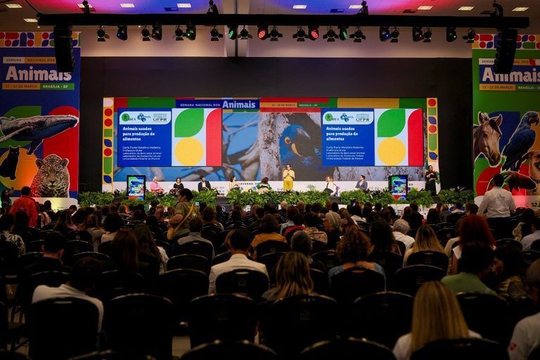 Pacote de medidas federais para fortalecer proteção animal é lançado no DF