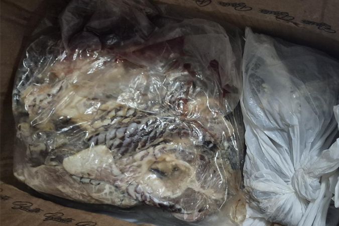 Procon-MPMG interdita lanchonete e apreende mais de 740 kg de alimentos impróprios para consumo em Uberaba